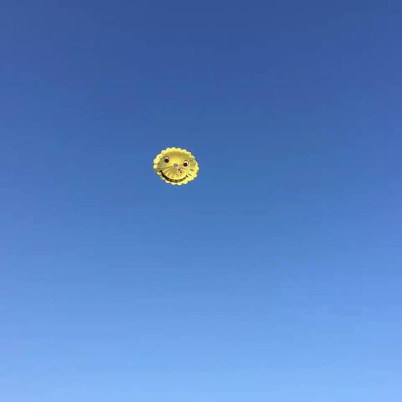 Meet your Posher, Anna - Picture 1 of 1